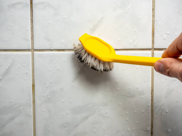 Best Emergency Mold Remediation in Orfordville, WI