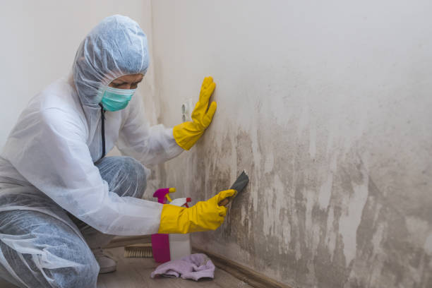 Best Post-Remediation Services in Orfordville, WI