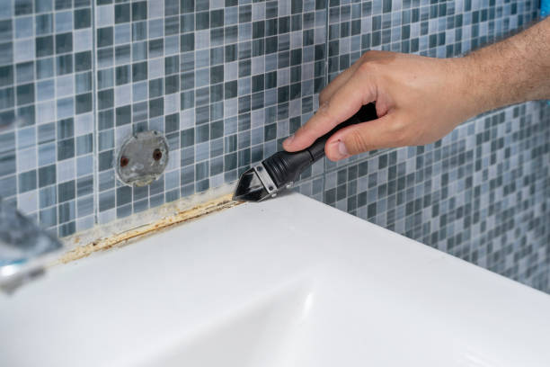 Best Localized Mold Remediation (e.g., coastal areas, humid climates) in Orfordville, WI